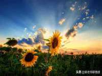 宁夏众赢农业机械销售有限公司