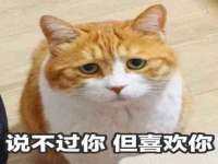 宁夏众赢农业机械销售有限公司