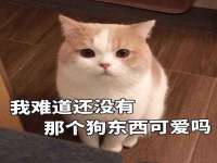 宁夏众赢农业机械销售有限公司