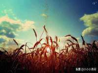 宁夏众赢农业机械销售有限公司