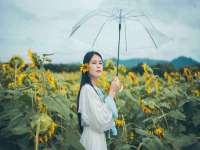 宁夏众赢农业机械销售有限公司