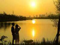 宁夏众赢农业机械销售有限公司