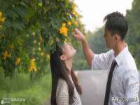 宁夏众赢农业机械销售有限公司