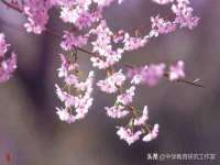 宁夏众赢农业机械销售有限公司