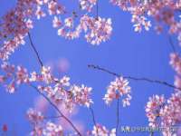 宁夏众赢农业机械销售有限公司
