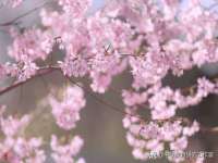 宁夏众赢农业机械销售有限公司