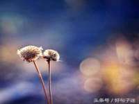 宁夏众赢农业机械销售有限公司
