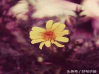 宁夏众赢农业机械销售有限公司