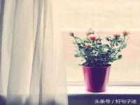 宁夏众赢农业机械销售有限公司