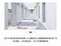 宁夏众赢农业机械销售有限公司