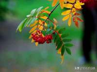 宁夏众赢农业机械销售有限公司