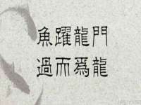 宁夏众赢农业机械销售有限公司