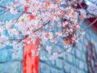 宁夏众赢农业机械销售有限公司