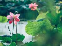 宁夏众赢农业机械销售有限公司