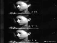 宁夏众赢农业机械销售有限公司