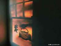 宁夏众赢农业机械销售有限公司