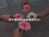 宁夏众赢农业机械销售有限公司