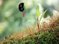 宁夏众赢农业机械销售有限公司