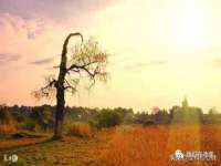 宁夏众赢农业机械销售有限公司