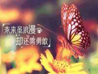 宁夏众赢农业机械销售有限公司