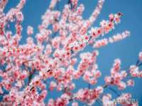 宁夏众赢农业机械销售有限公司