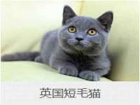 宁夏众赢农业机械销售有限公司