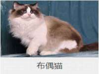 宁夏众赢农业机械销售有限公司