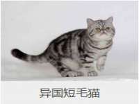 宁夏众赢农业机械销售有限公司