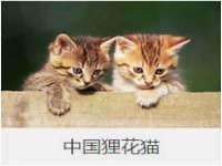 宁夏众赢农业机械销售有限公司