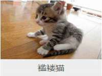 宁夏众赢农业机械销售有限公司