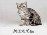 宁夏众赢农业机械销售有限公司