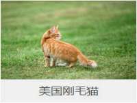 宁夏众赢农业机械销售有限公司
