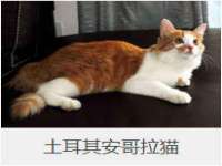 宁夏众赢农业机械销售有限公司