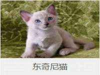 宁夏众赢农业机械销售有限公司