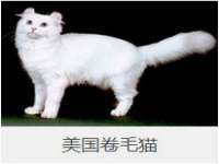 宁夏众赢农业机械销售有限公司