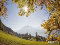 宁夏众赢农业机械销售有限公司