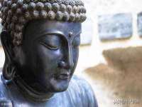 宁夏众赢农业机械销售有限公司