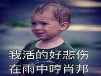 宁夏众赢农业机械销售有限公司