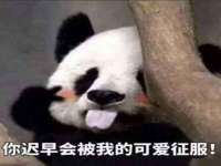 宁夏众赢农业机械销售有限公司