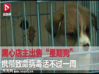 宁夏众赢农业机械销售有限公司
