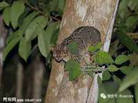宁夏众赢农业机械销售有限公司