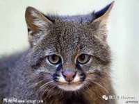 宁夏众赢农业机械销售有限公司