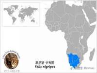 宁夏众赢农业机械销售有限公司