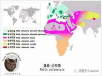 宁夏众赢农业机械销售有限公司