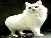 宁夏众赢农业机械销售有限公司