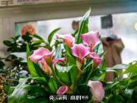 宁夏众赢农业机械销售有限公司