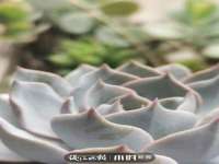 宁夏众赢农业机械销售有限公司