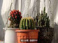 宁夏众赢农业机械销售有限公司