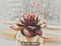 宁夏众赢农业机械销售有限公司