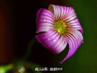 宁夏众赢农业机械销售有限公司